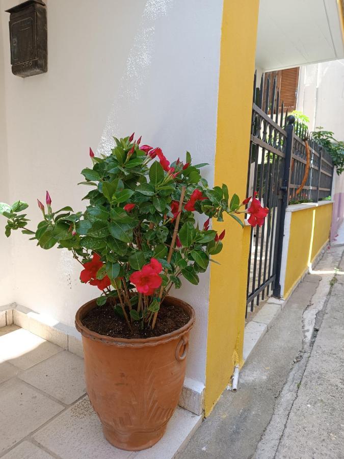 Stefanos Family Apartment Lefkáda Zewnętrze zdjęcie